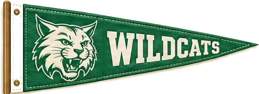 Wildcats pennant